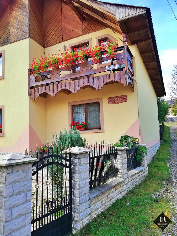 Hotel Casa Lacry Mînăstirea Humorului Exterior foto